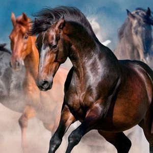 Meet your Posher, Barbara